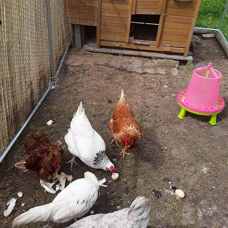 La Longere Des Basses Terres *