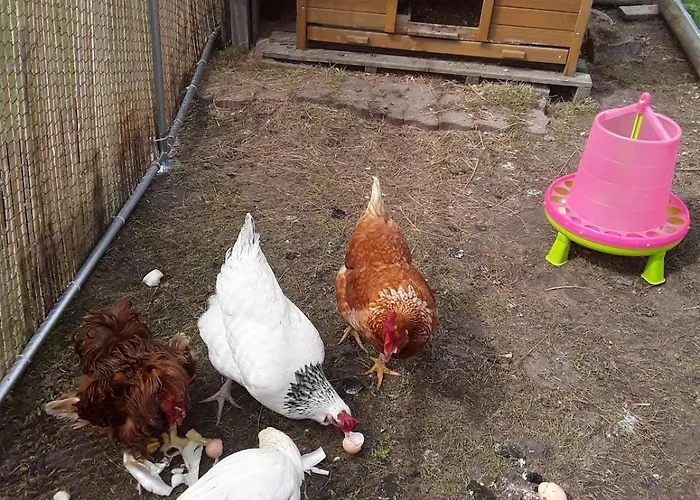 La Longère Des Basses Terres *